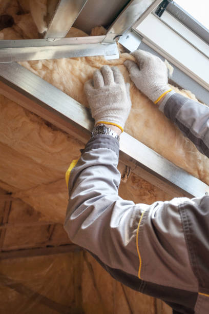 Best Commercial Insulation in Apple Valley, CA