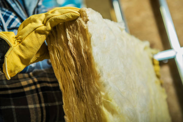 Best Insulation Installation Services in Apple Valley, CA